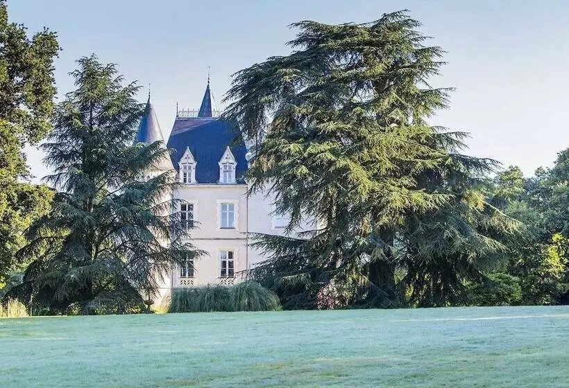 酒店 Château Des Tesnières