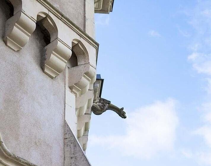 בית מלון כפרי Château Des Tesnières