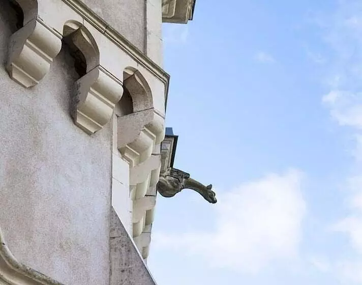 酒店 Château Des Tesnières