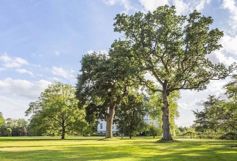 酒店 Château Des Tesnières