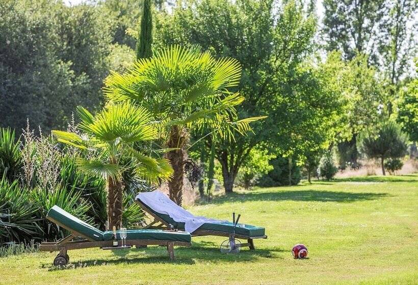 בית מלון כפרי Château Des Tesnières