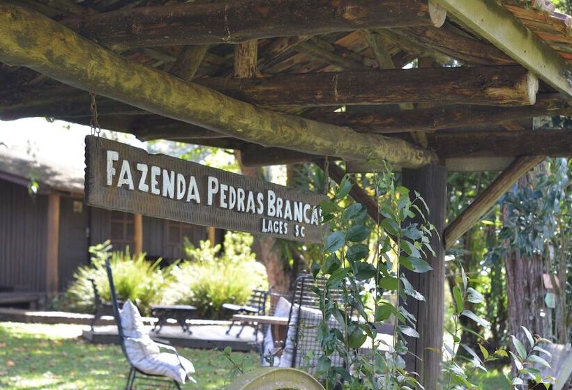 Отель Fazenda Pedras Brancas
