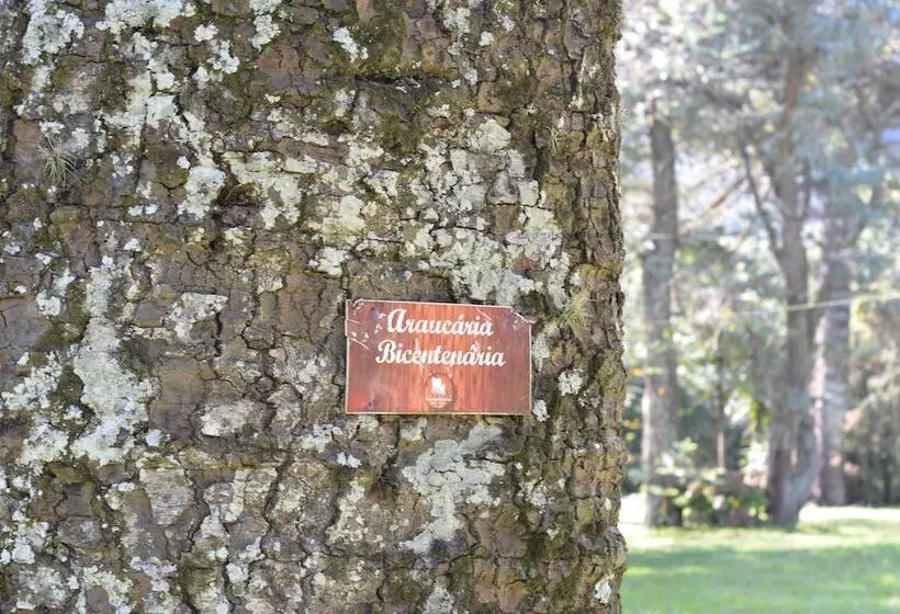 Отель Fazenda Pedras Brancas