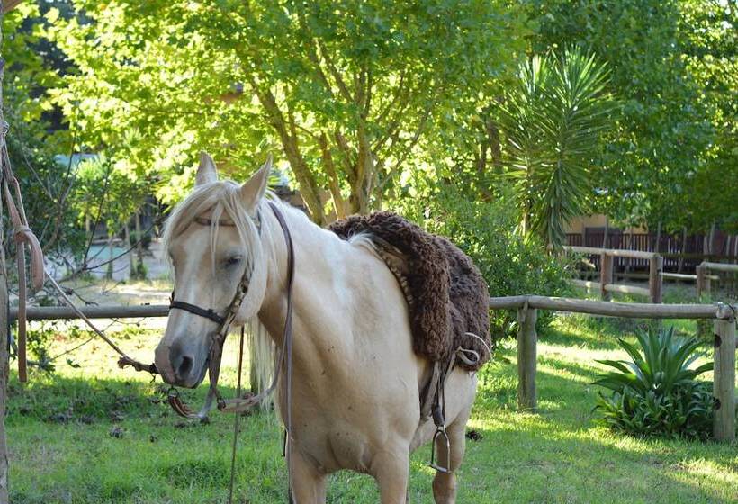 Отель Fazenda Pedras Brancas