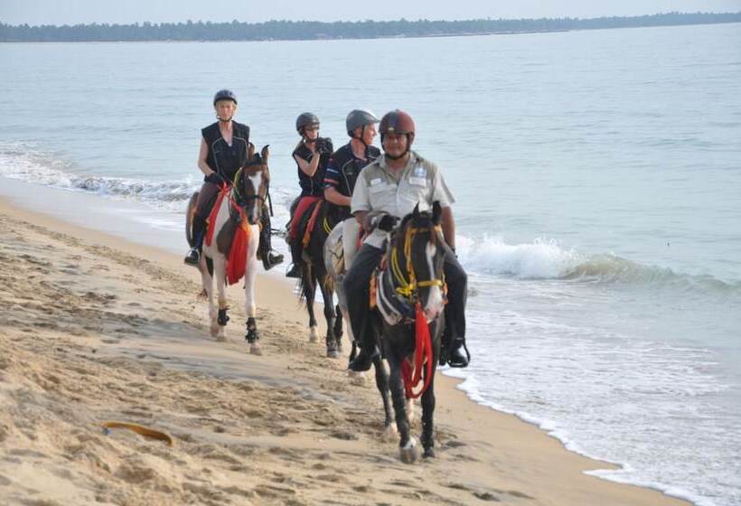 酒店 Ruwala Resort