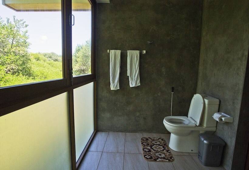 酒店 Ruwala Resort