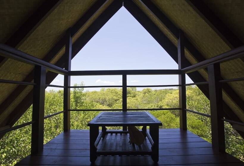 酒店 Ruwala Resort