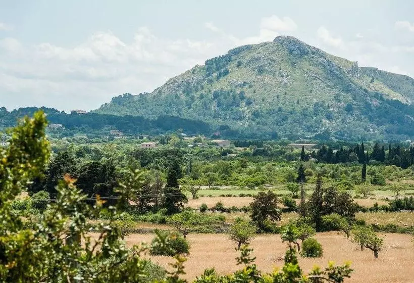 酒店 Villa Son Rio Nou