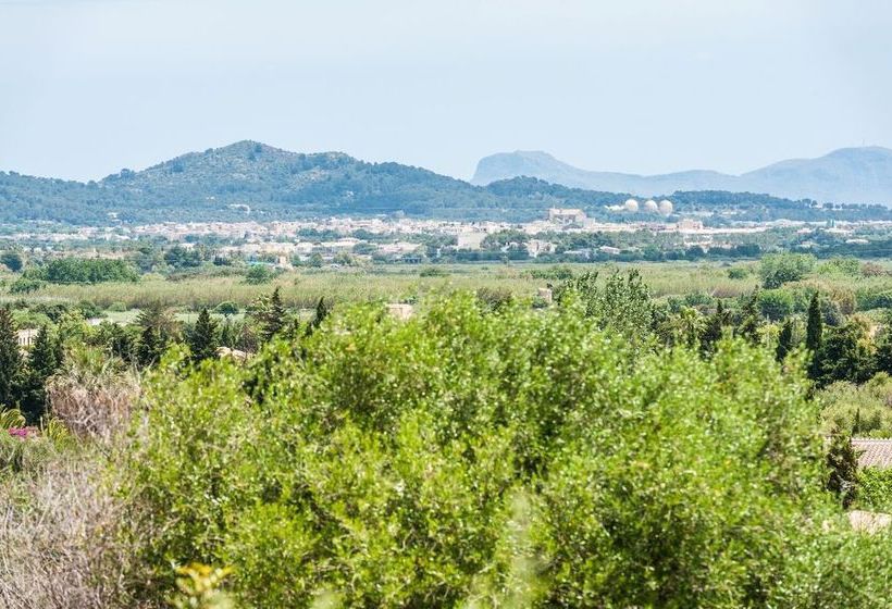 בית מלון כפרי Villa Son Rio Nou