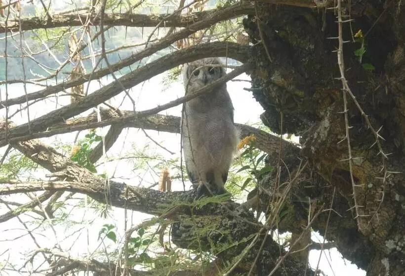 پانسیون Babogaya Lake Viewpoint Lodge