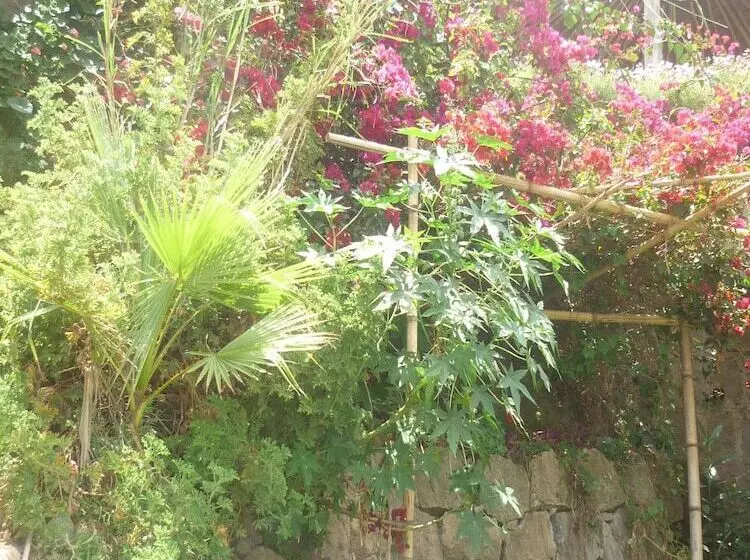 پانسیون Babogaya Lake Viewpoint Lodge