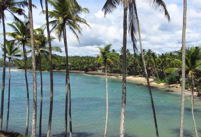 펜션 Peacock Wings Guest