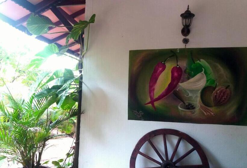 펜션 Peacock Wings Guest