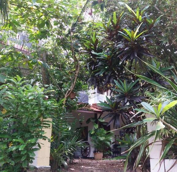 펜션 Peacock Wings Guest