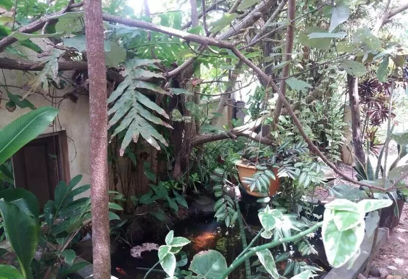 Пансион Peacock Wings Guest