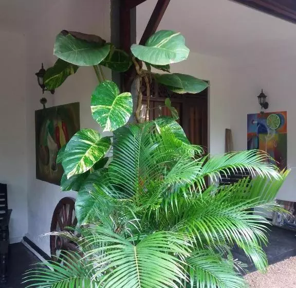 Пансион Peacock Wings Guest