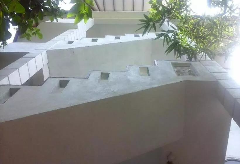 Пансион Peacock Wings Guest