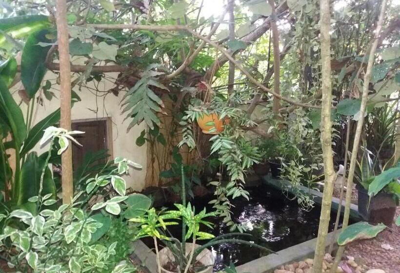 펜션 Peacock Wings Guest