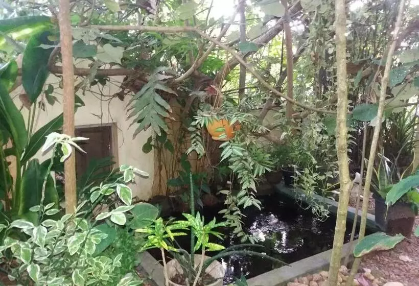 Пансион Peacock Wings Guest