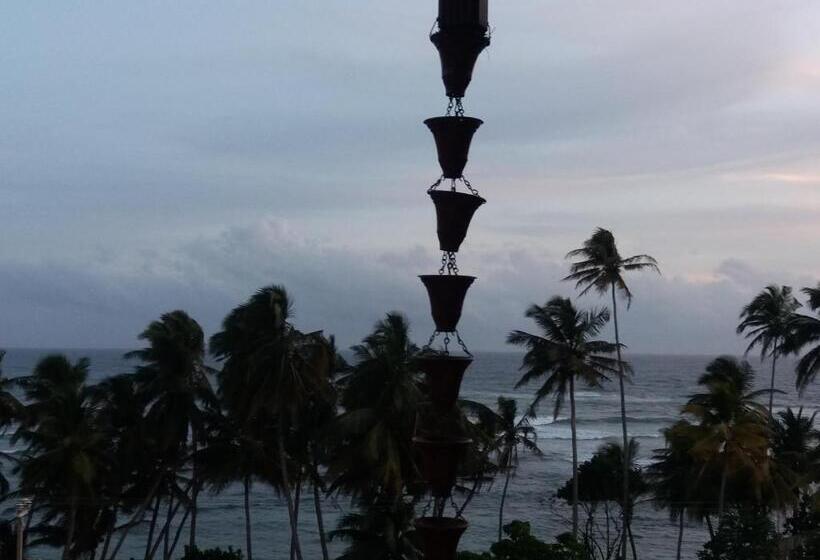 펜션 Peacock Wings Guest