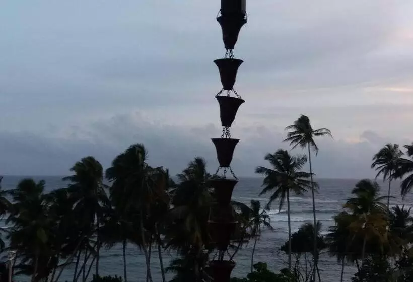 Пансион Peacock Wings Guest