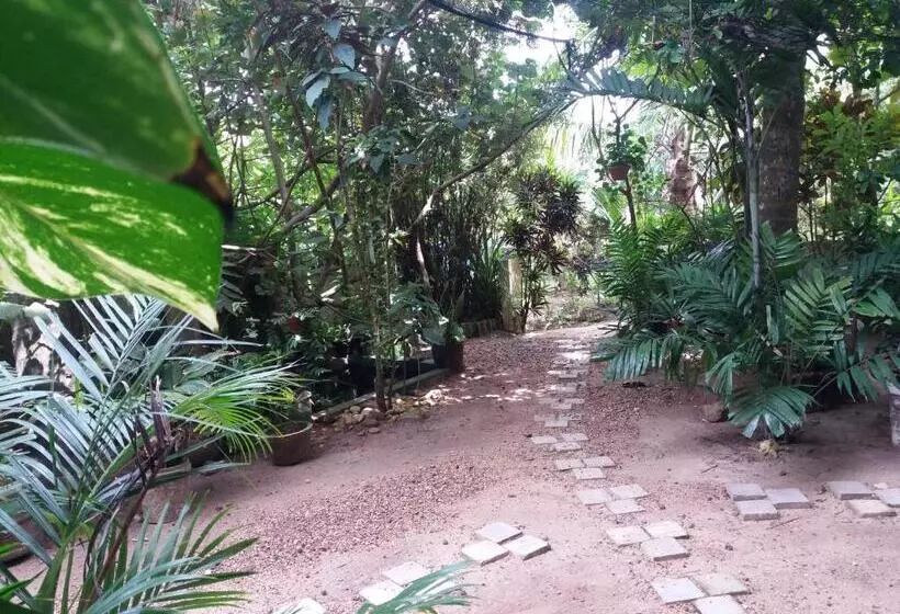 Пансион Peacock Wings Guest