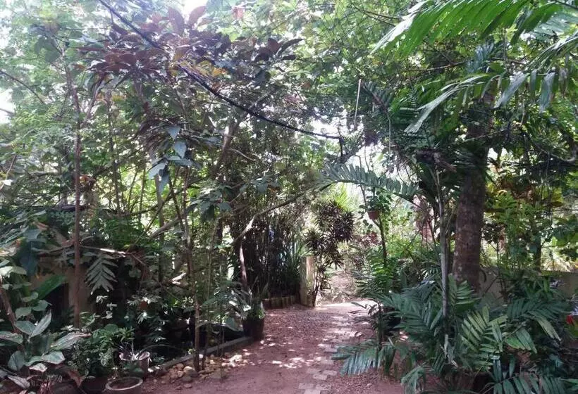 Пансион Peacock Wings Guest