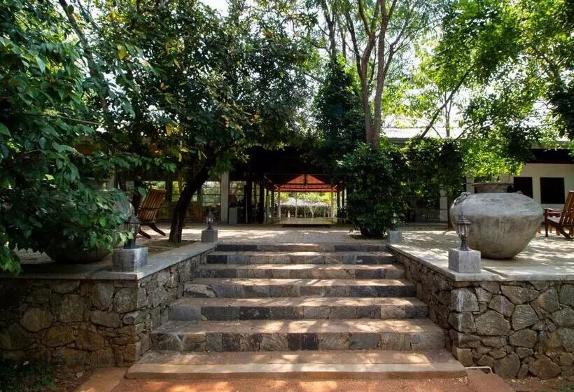 渡假胜地 Amaara Forest Hotel Sigiriya