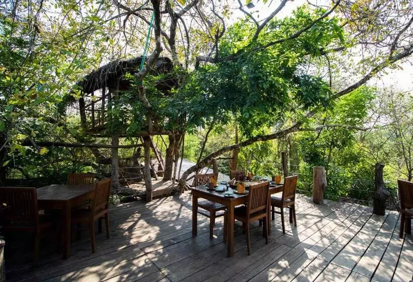 渡假胜地 Amaara Forest Hotel Sigiriya