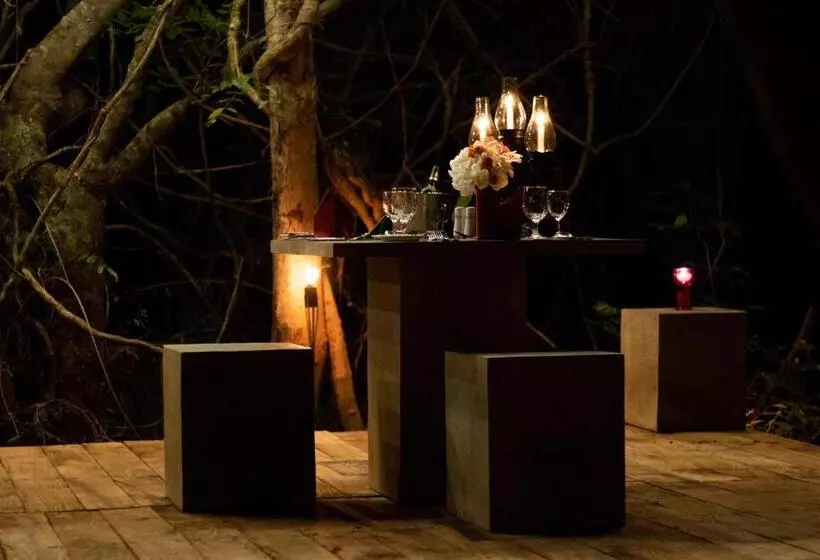 渡假胜地 Amaara Forest Hotel Sigiriya