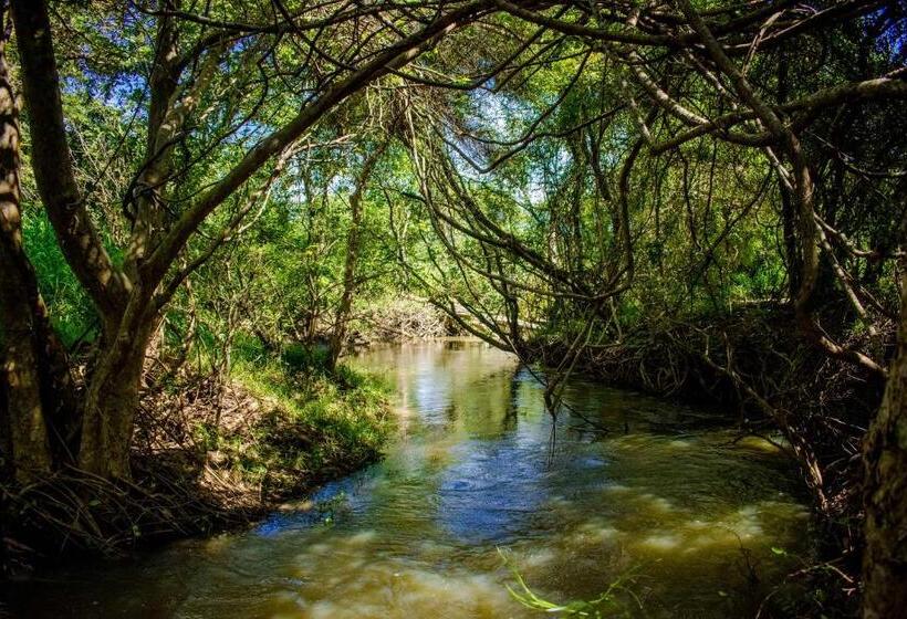 אתר נופש Amaara Forest Hotel Sigiriya