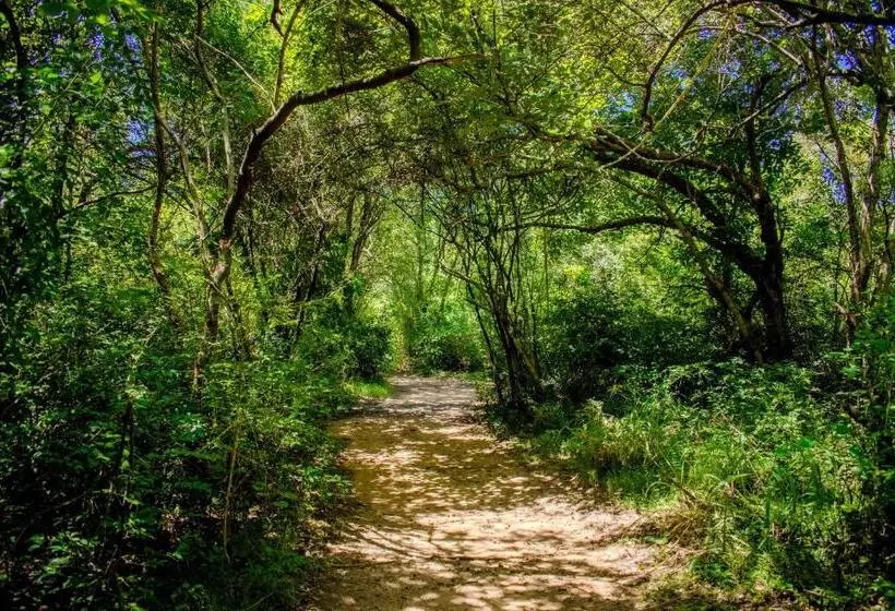 渡假胜地 Amaara Forest Hotel Sigiriya