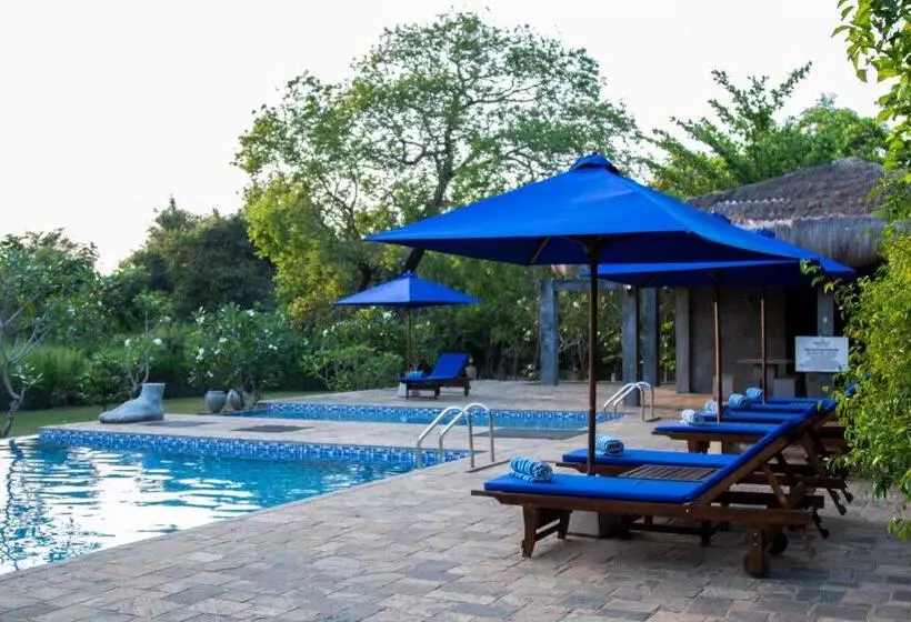 渡假胜地 Amaara Forest Hotel Sigiriya