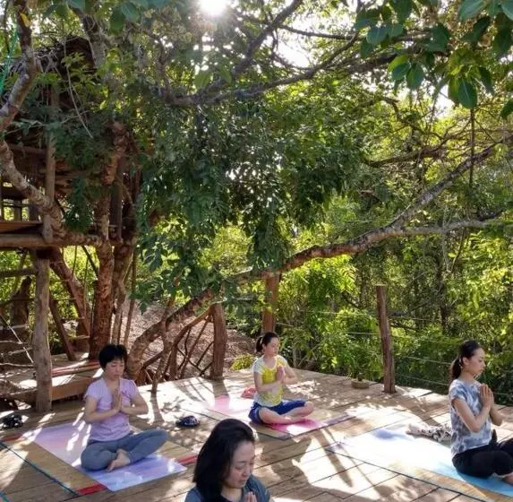 渡假胜地 Amaara Forest Hotel Sigiriya