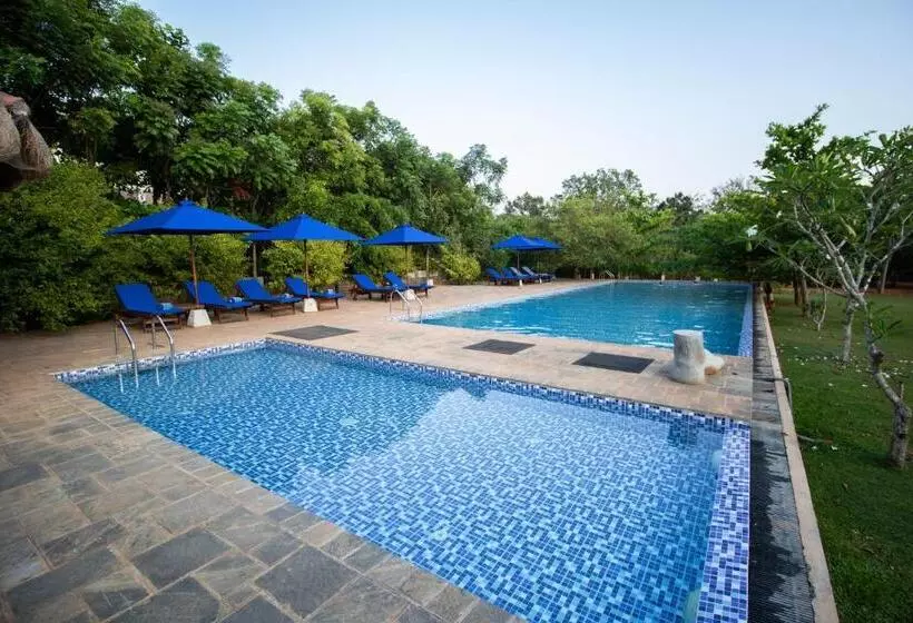 渡假胜地 Amaara Forest Hotel Sigiriya