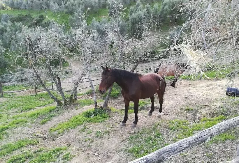 Agriturismo La Forra