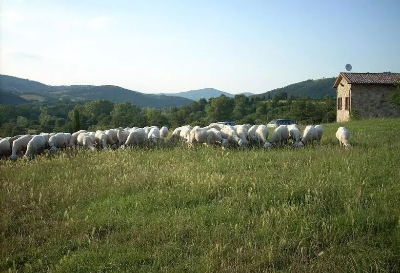 Agriturismo Villa Martis