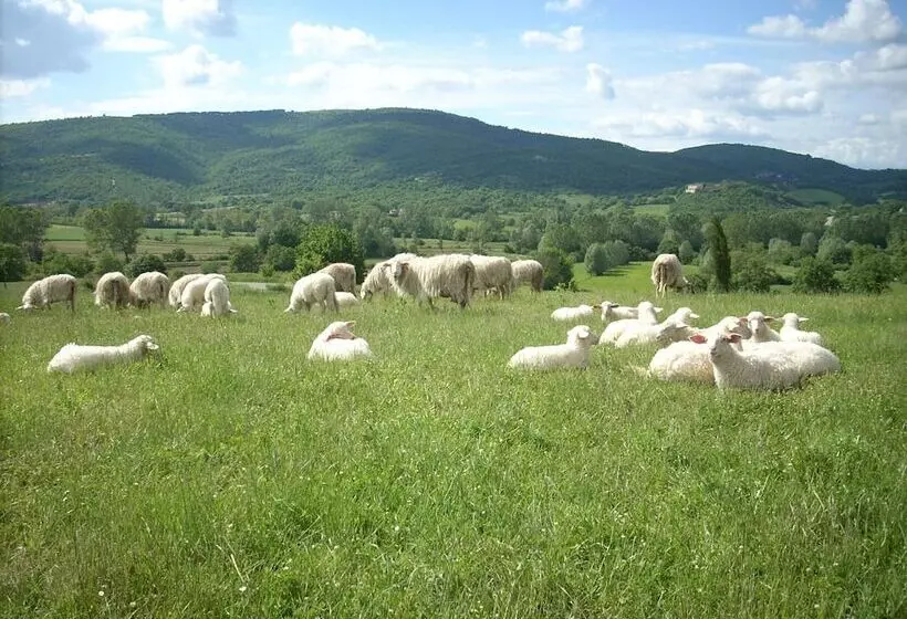Agriturismo Villa Martis