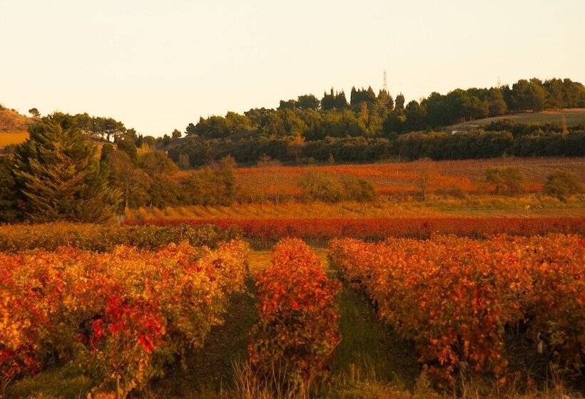 B&b Les Balcons De Maragon