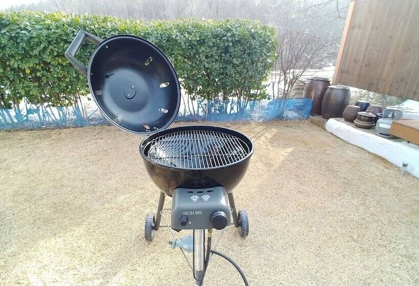 פנסיון Starrynights