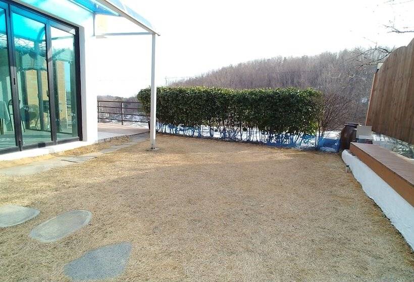 פנסיון Starrynights