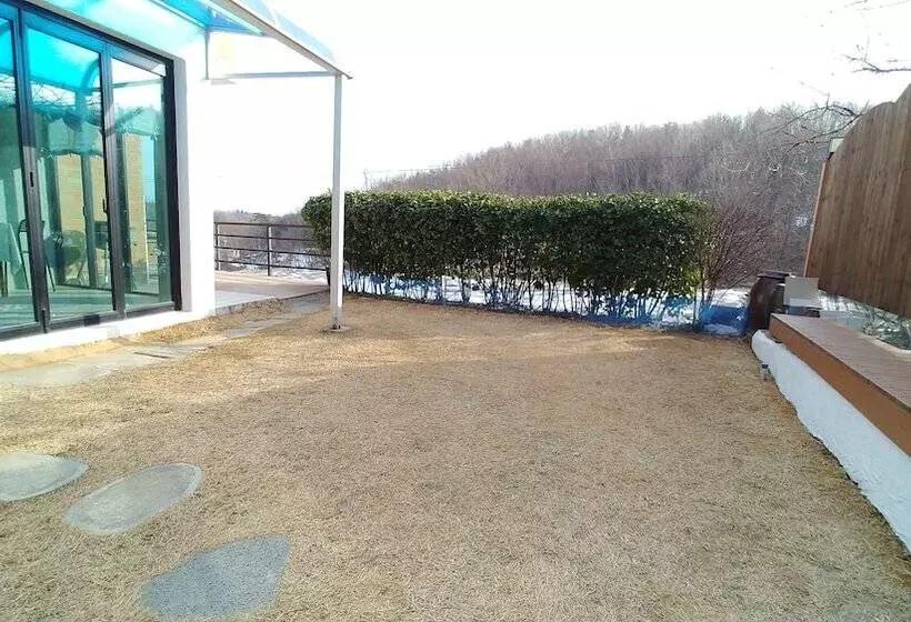 פנסיון Starrynights