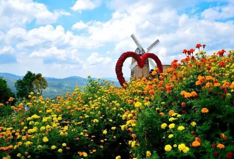 בית מלון כפרי Big