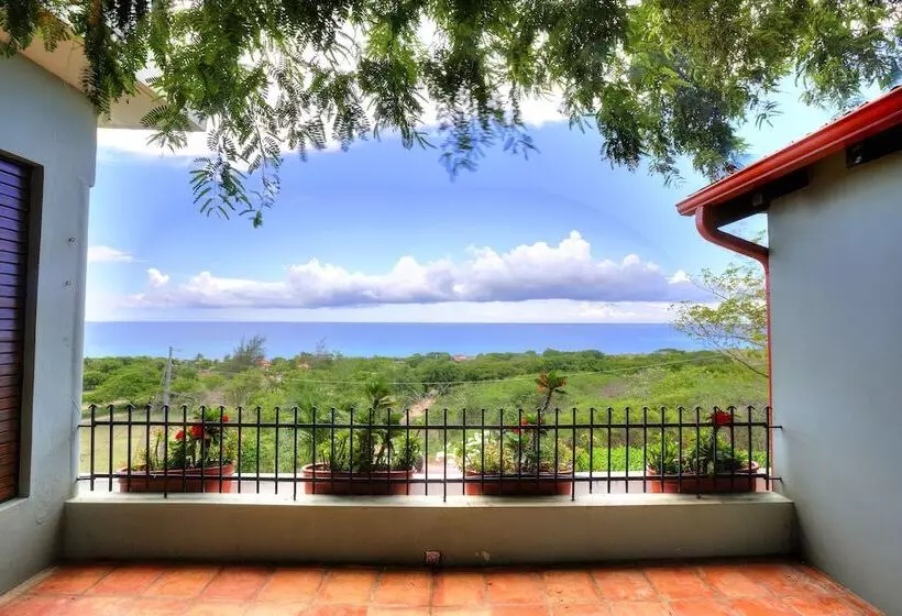 هتل Hacienda Tamarindo