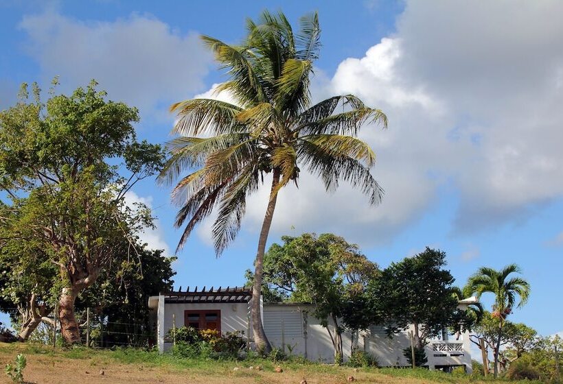 هتل Hacienda Tamarindo