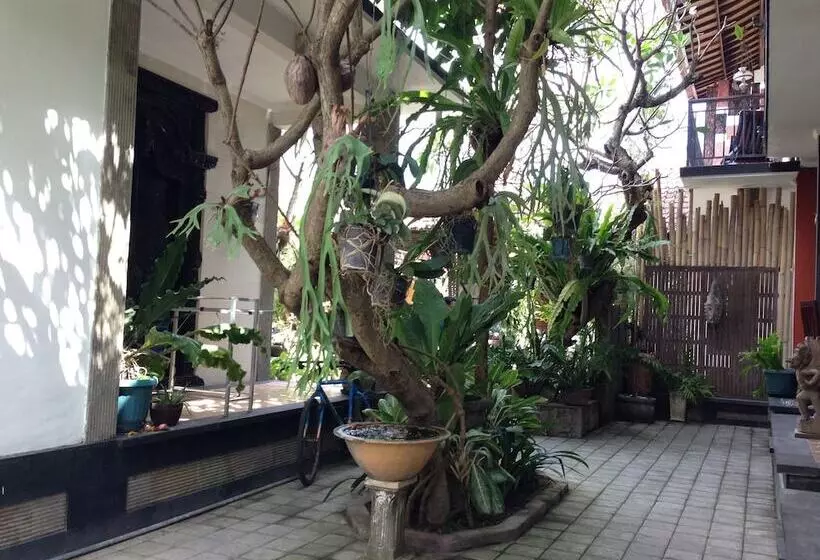 Пансион Double N Guest House