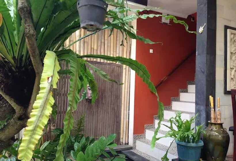 Пансион Double N Guest House