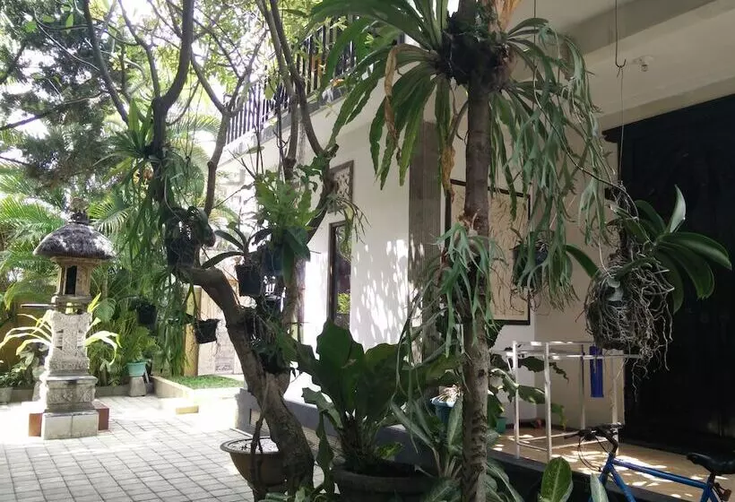 Пансион Double N Guest House