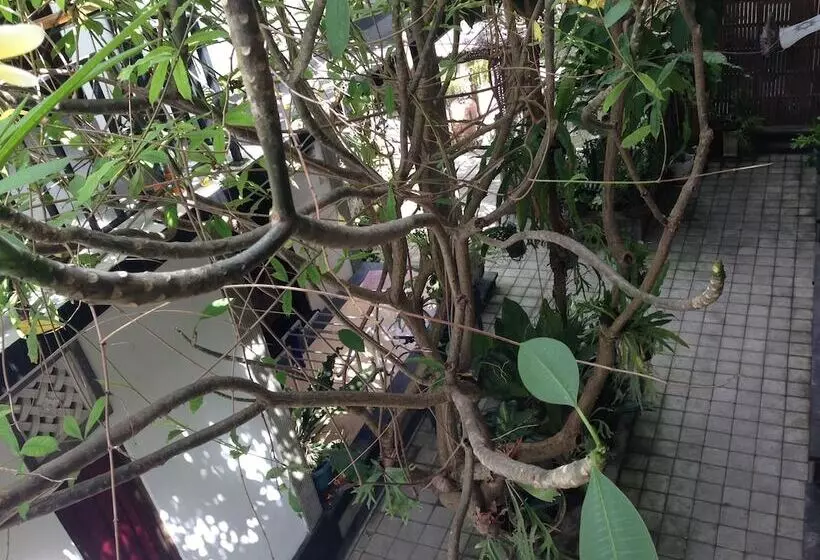 Пансион Double N Guest House