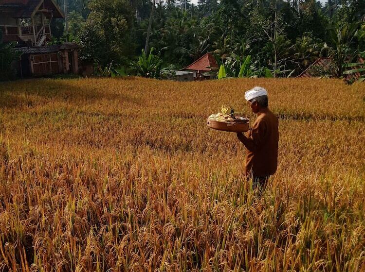 بنسيون Ubud Sawah Scenery Villa And Homestay